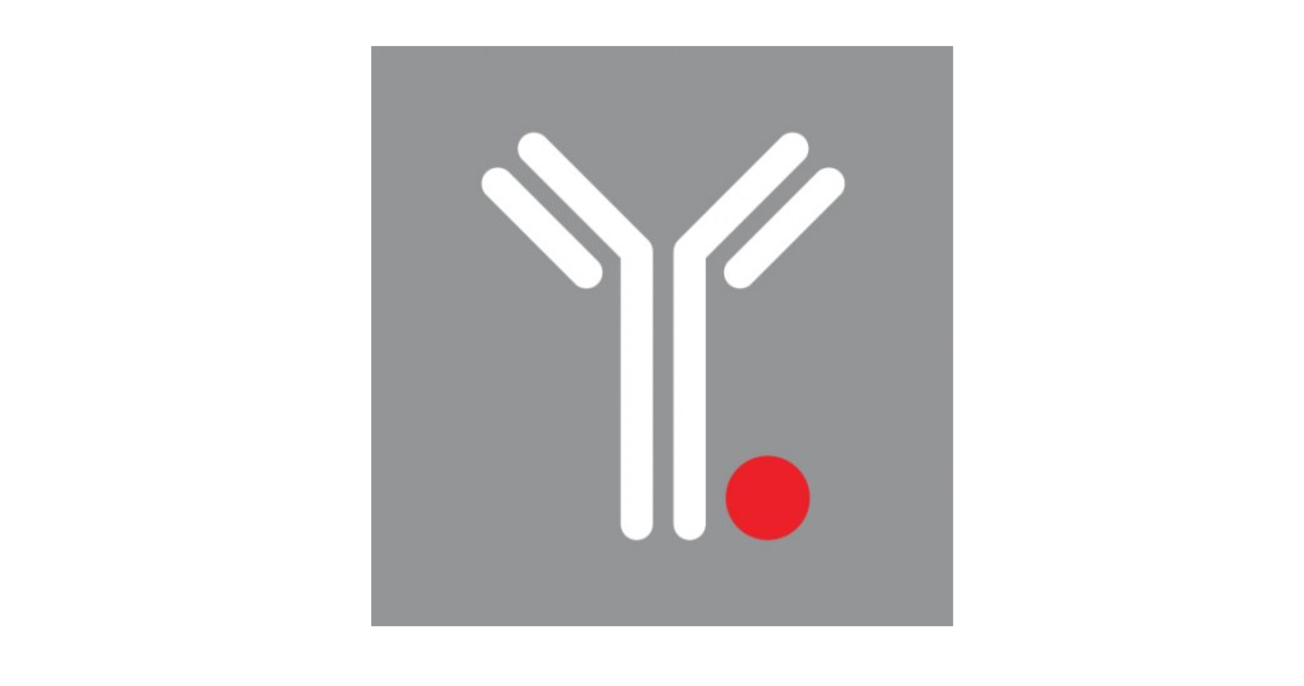 Nordic Nanovector logo