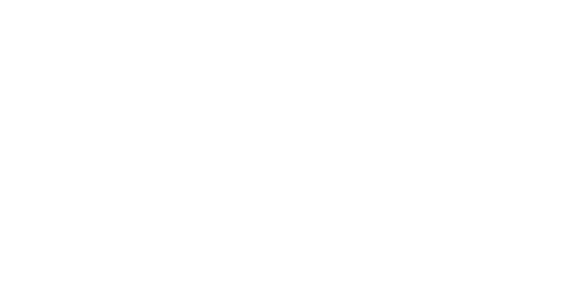 Play Magnus logo