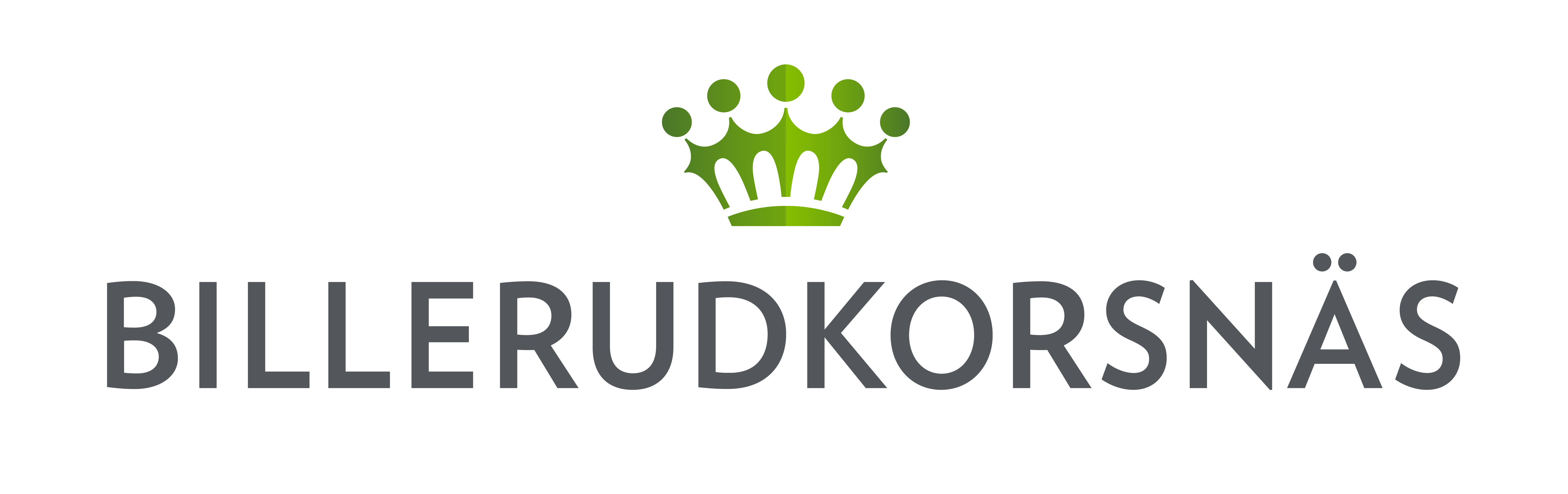 BillerudKorsnäs logo