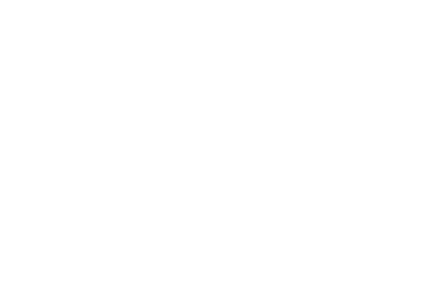 Dometic Group logo