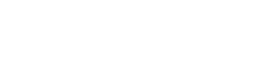 Rottneros logo