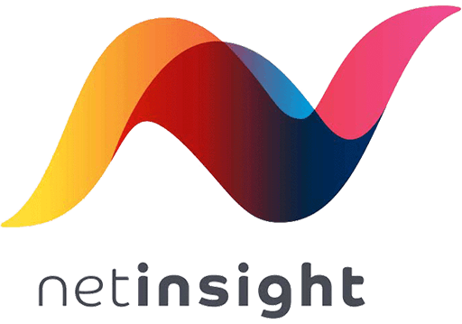 Net Insight logo