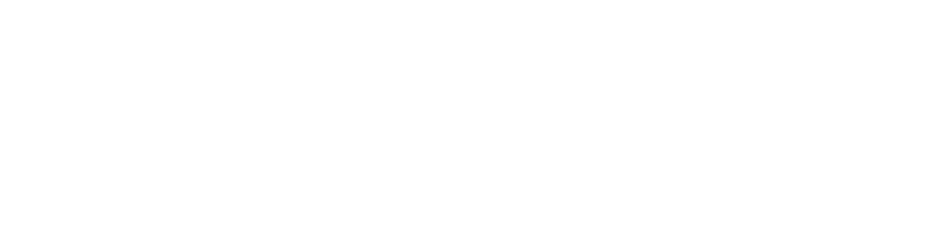 Actic Group logo