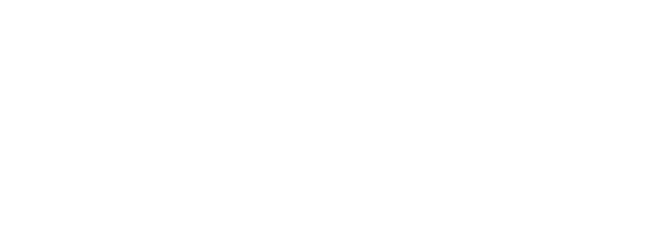 Pricer logo