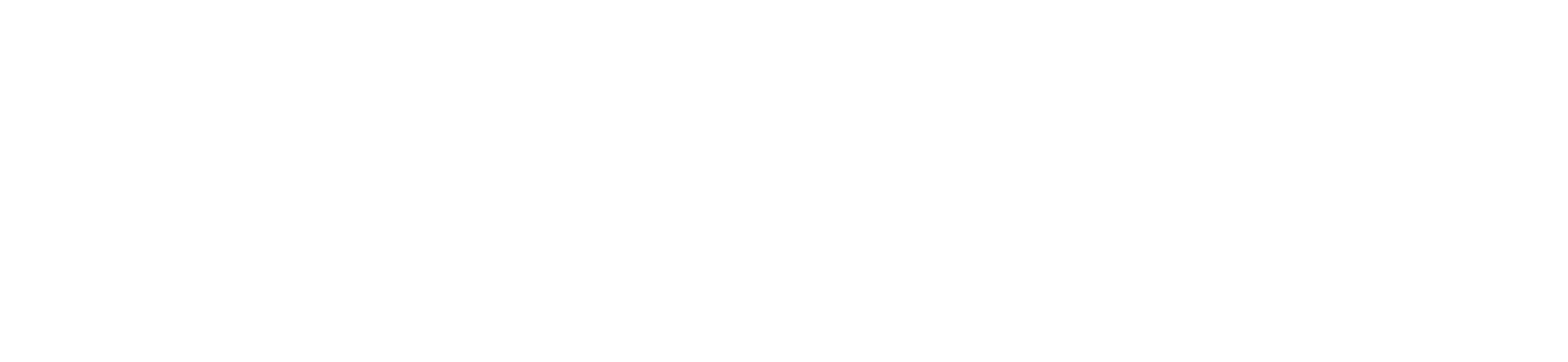 Kuehne + Nagel International AG logo