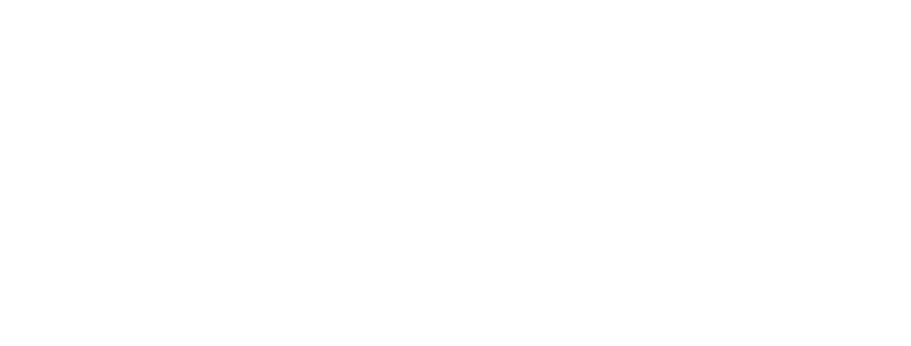 Nemetschek logo