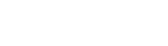 Accell Group N.V. logo