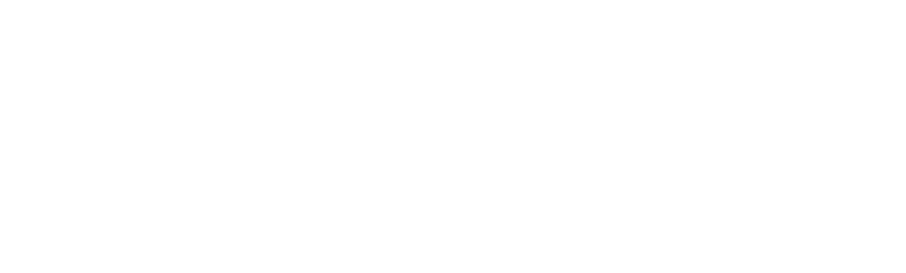 Royal Caribbean Cruises Ltd logo