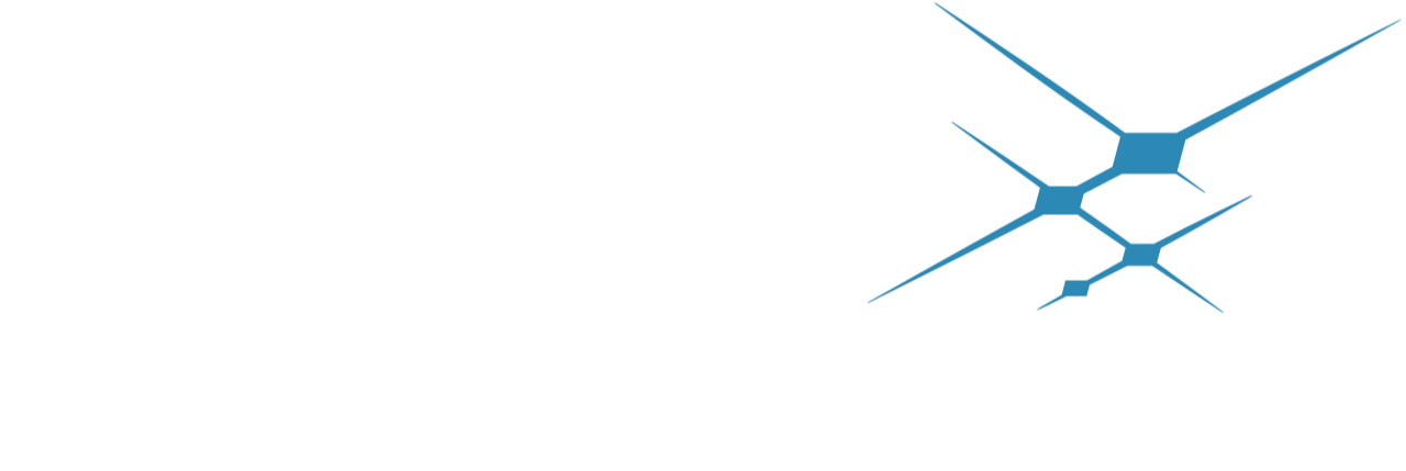 Skyworks Solutions Inc logo