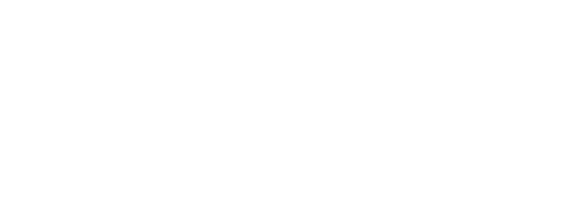 Tyler Technologies Inc logo