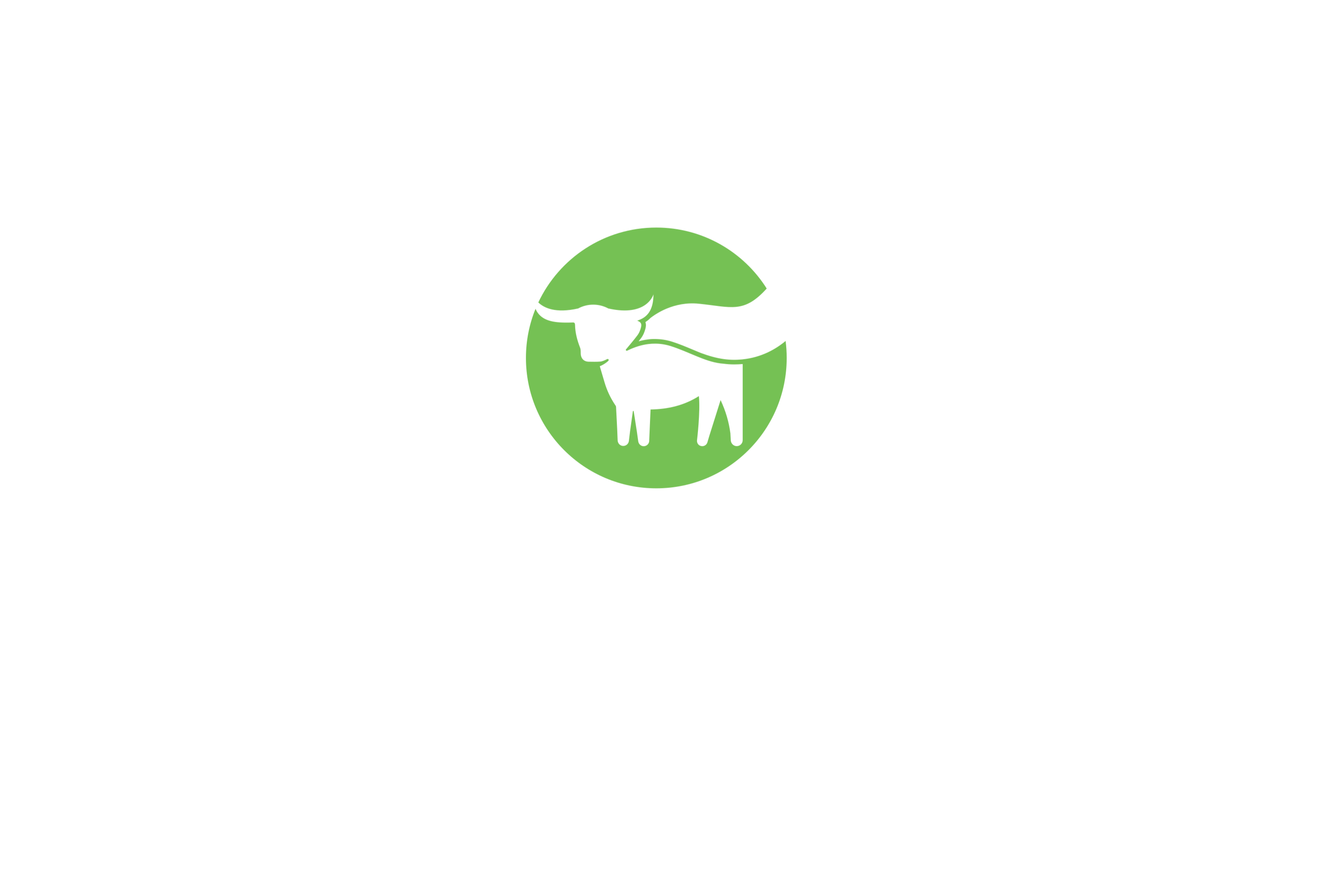 Beyond Meat Inc logo