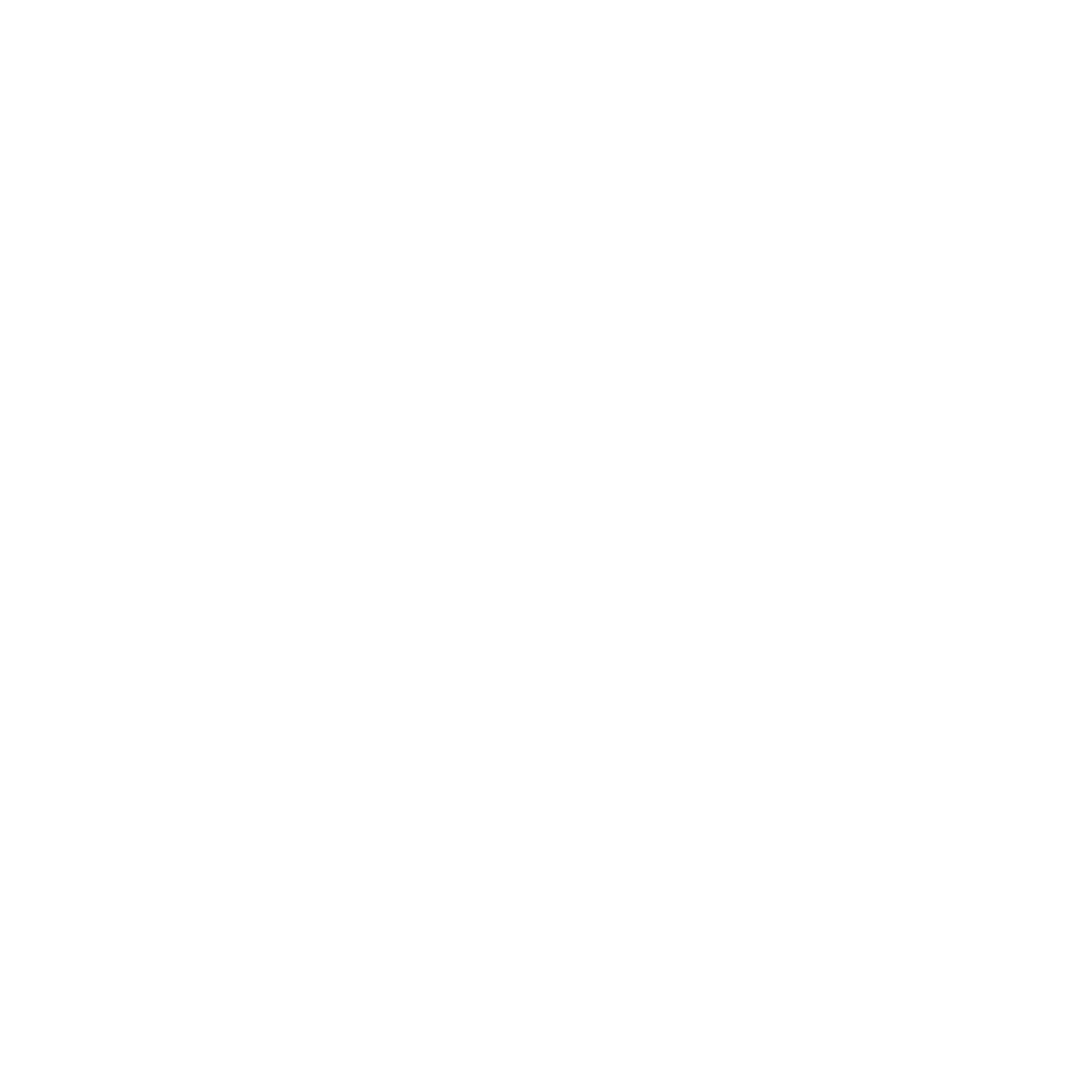 Big Lots Inc logo