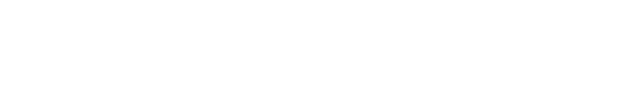 Booz Allen Hamilton Holding Corporation logo