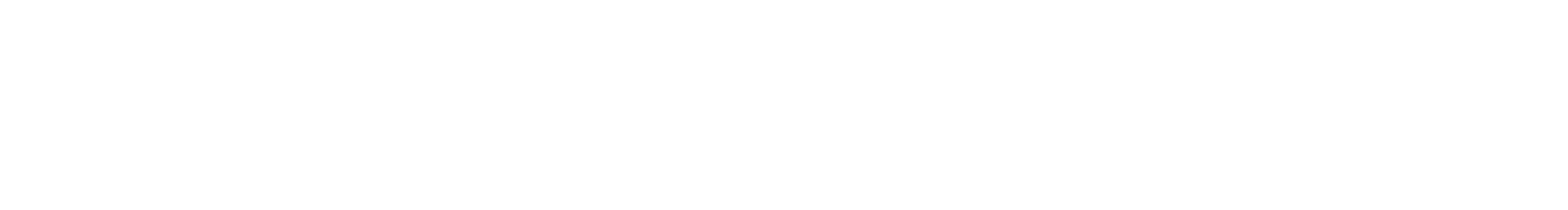 BorgWarner Inc logo