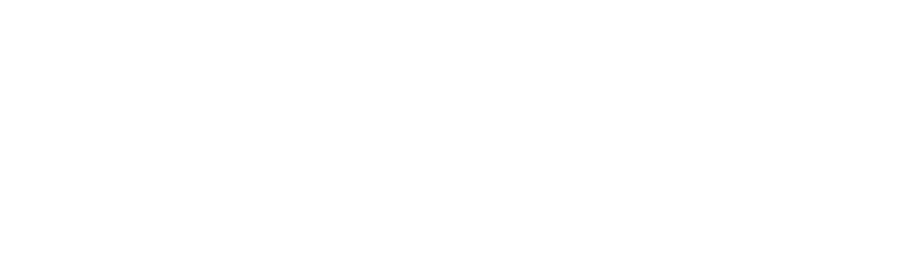 Citrix Systems Inc logo
