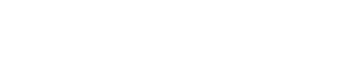 CoStar Group Inc logo