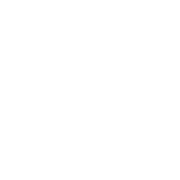 EHang Holdings Limited logo