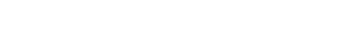 Global Payments Inc logo