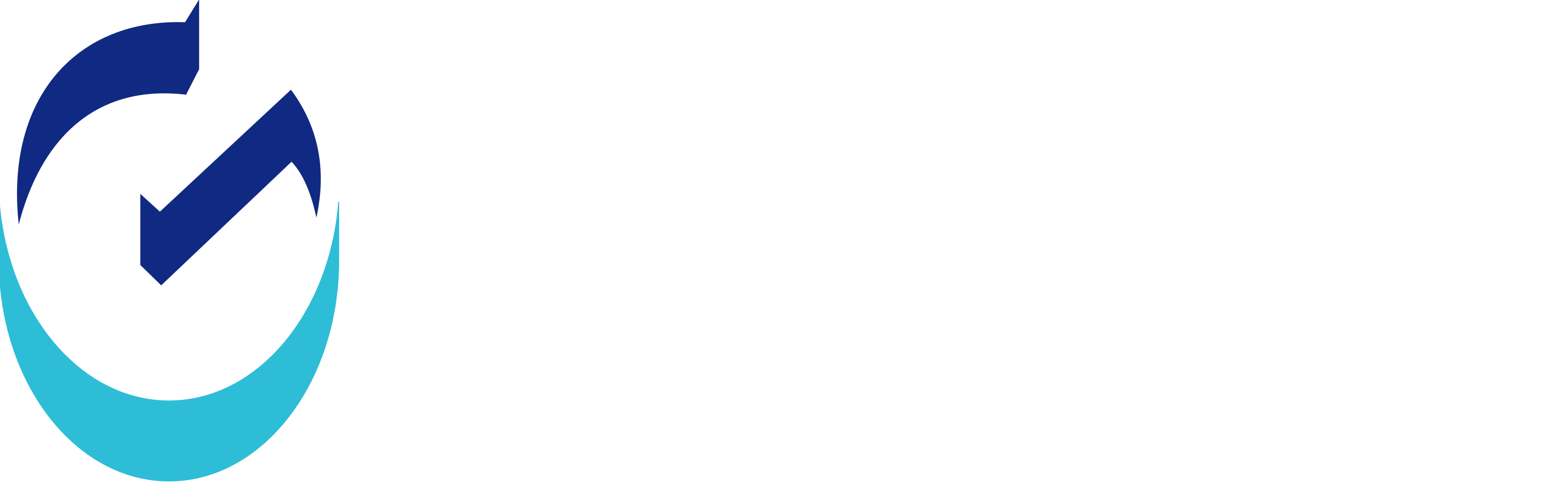 Gravity Co Ltd logo