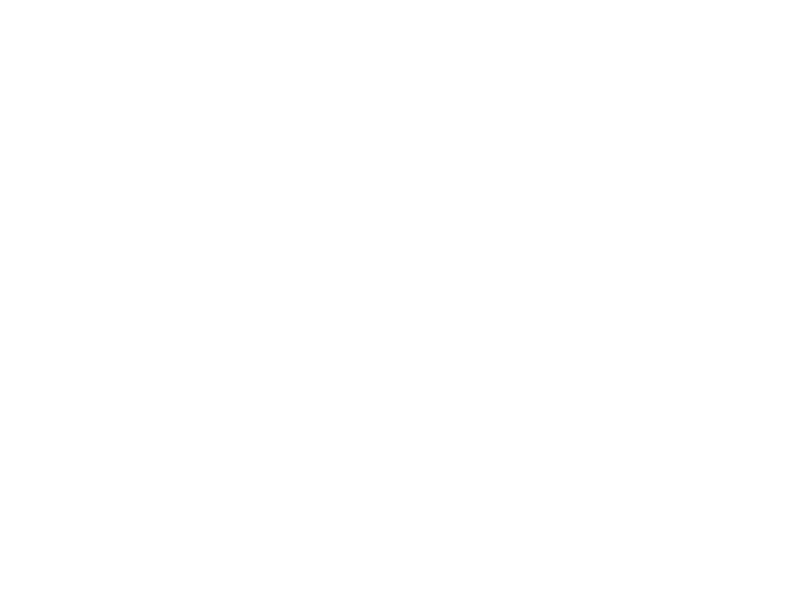 Hibbett Inc logo