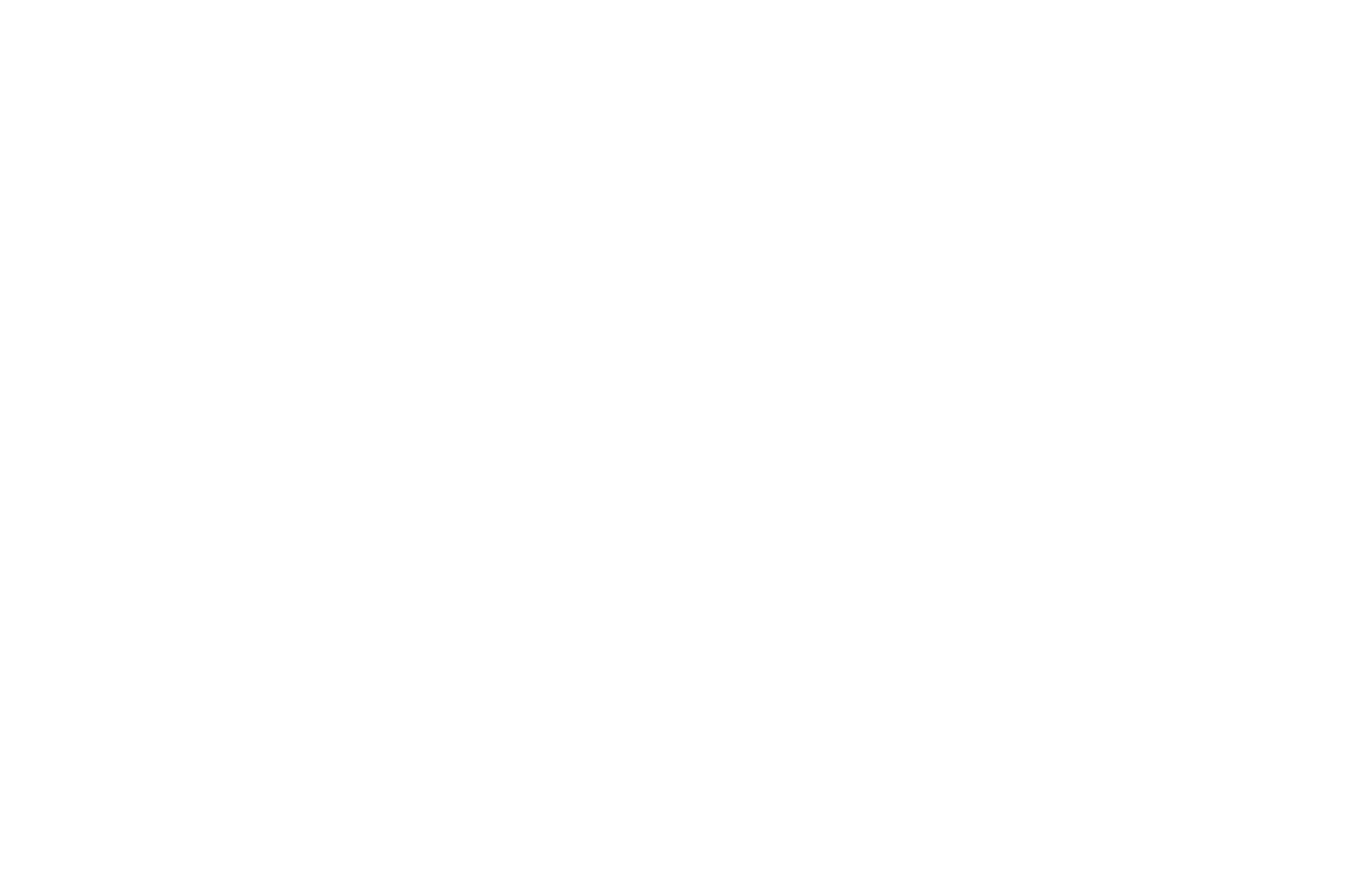 LPL Financial Holdings logo