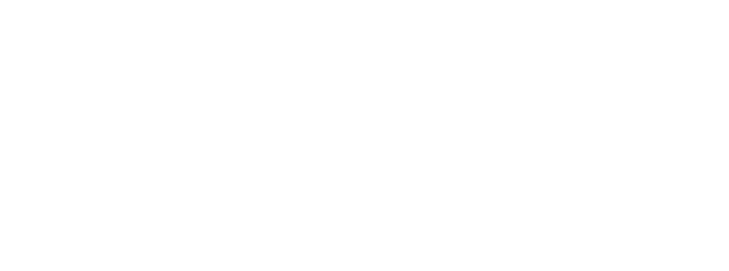 NIO Inc logo