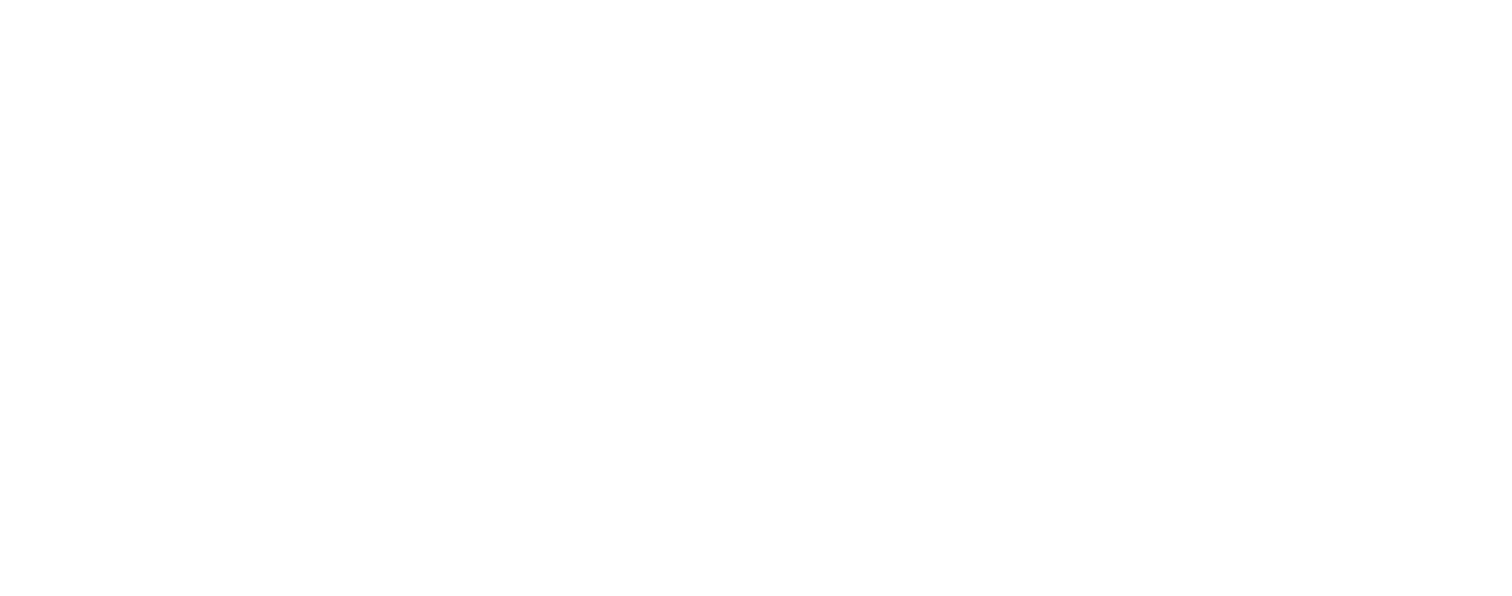 Nike Inc logo