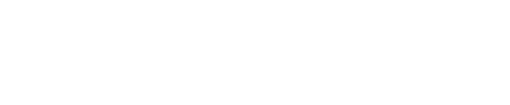 Volt Information Sciences Inc logo