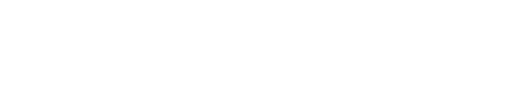 American Eagle Outfitters Inc logo