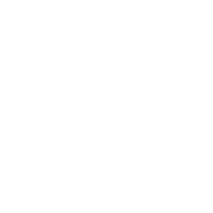 BEST Inc logo