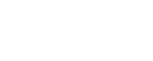 Blink Charging Co logo