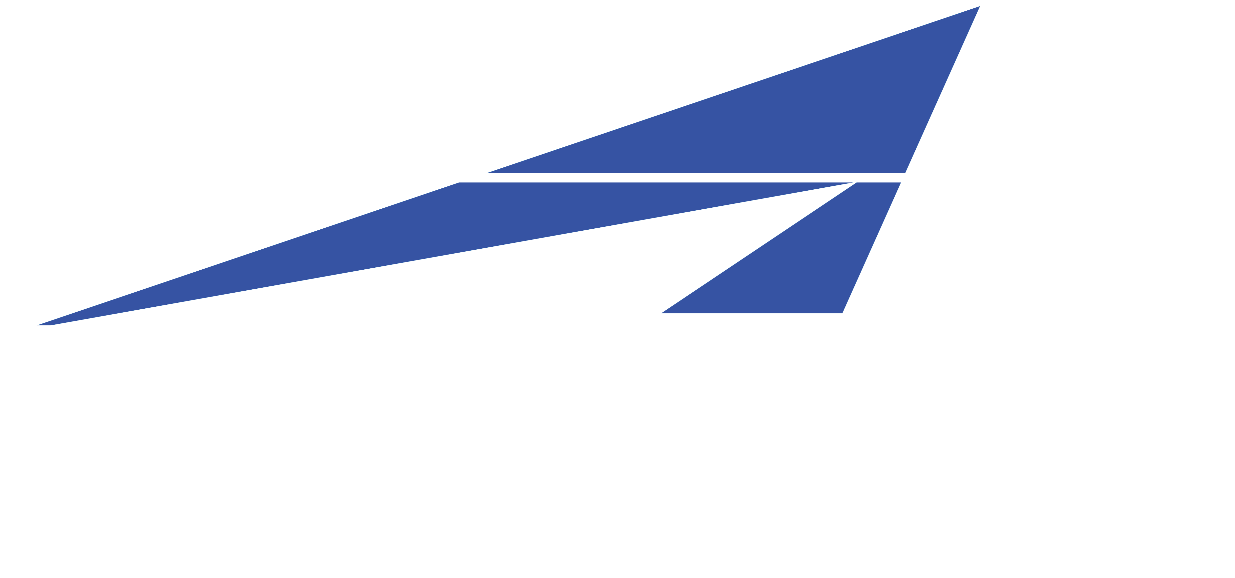 CAE Inc logo