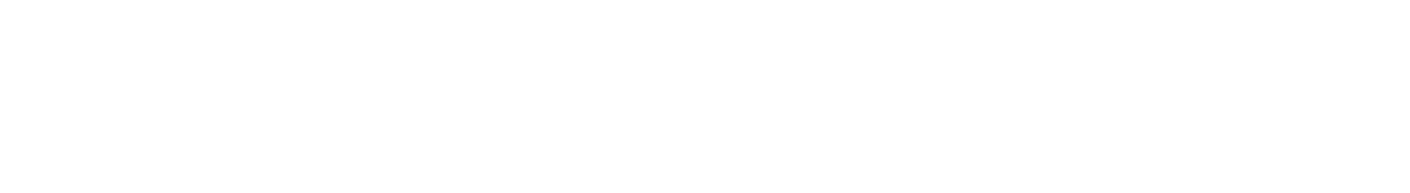 Chico's FAS Inc logo