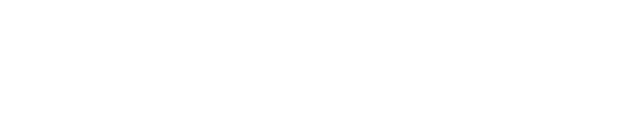 Enthusiast Gaming Holdings Inc logo