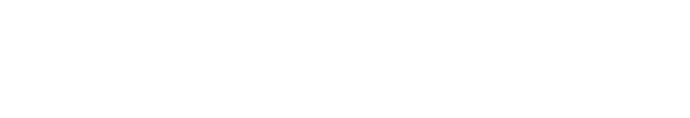 Nordstrom Inc logo