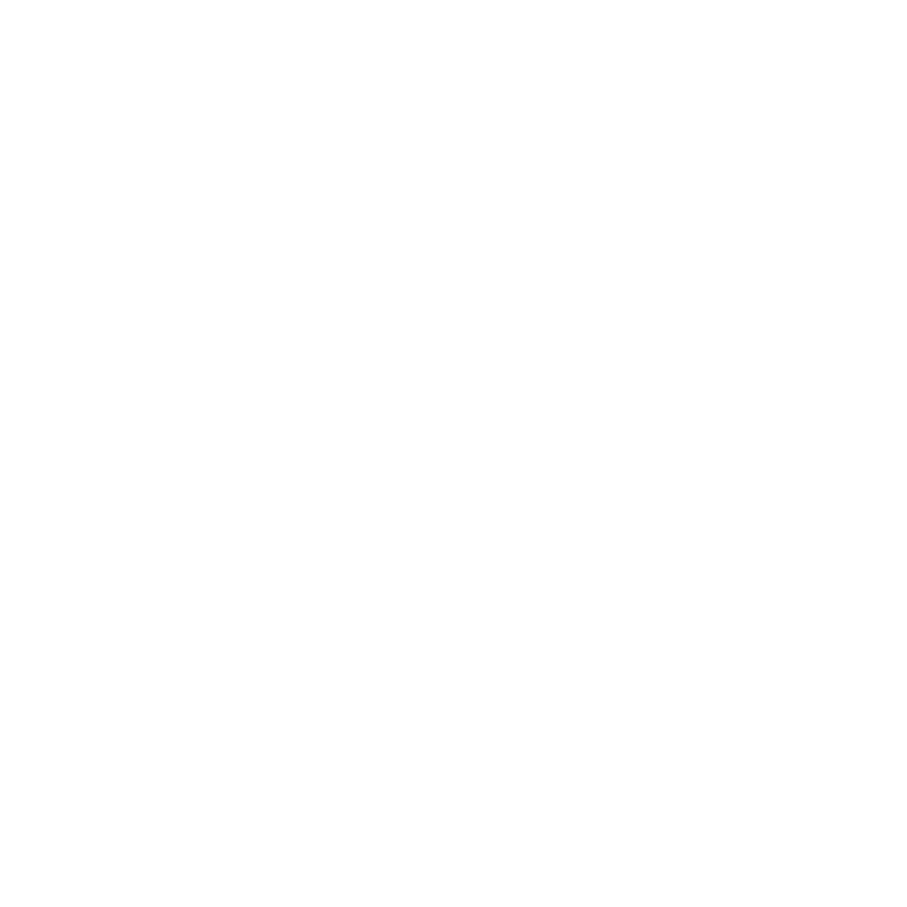 Smith & Wesson Brands Inc logo
