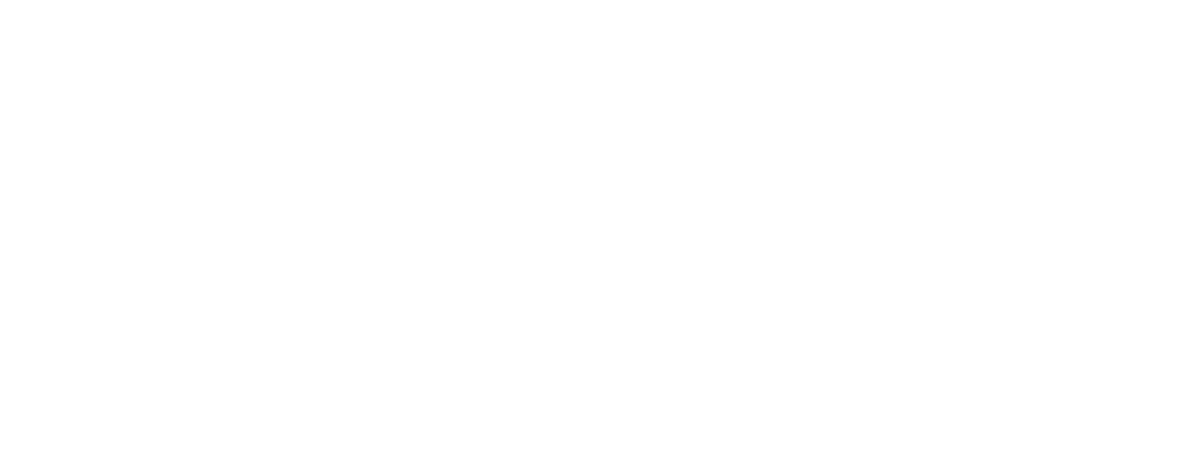 Wix.com Ltd logo