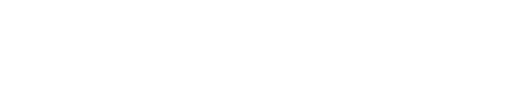XPeng Inc logo