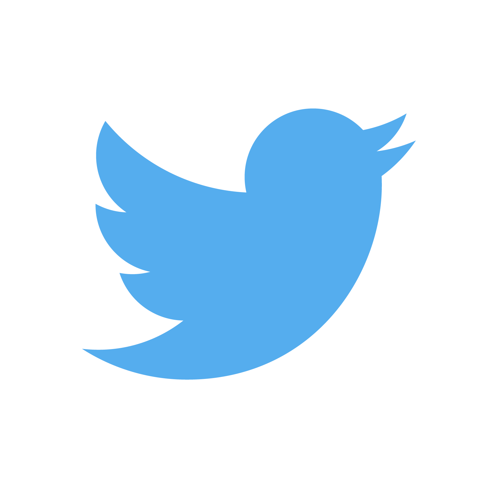 Twitter Inc logo