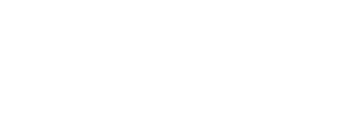 Visa Inc logo