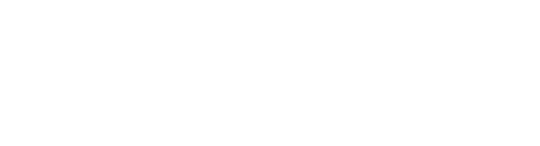 PepsiCo Inc logo