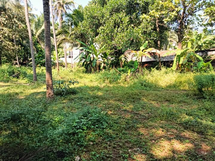 https://firebasestorage.googleapis.com/v0/b/qksell-in.firebasestorage.app/o/posts%2F1737443497345-plot%20kerala.jpg?alt=media&token=a5c6d565-8cbb-43a9-91e0-2a3a93ec0c23