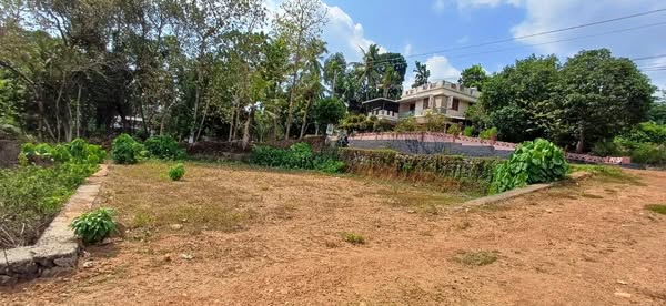 https://firebasestorage.googleapis.com/v0/b/qksell-in.firebasestorage.app/o/posts%2F1741845468523-kerala.jpg?alt=media&token=3a6744e4-4871-4ef7-93f0-829c461a9969