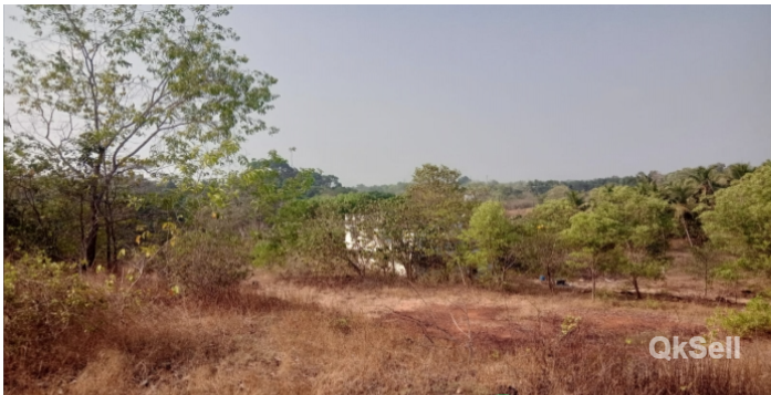 33 1/2 CENTS OF LAND FOR SALE AT PERINGOME,KANNUR