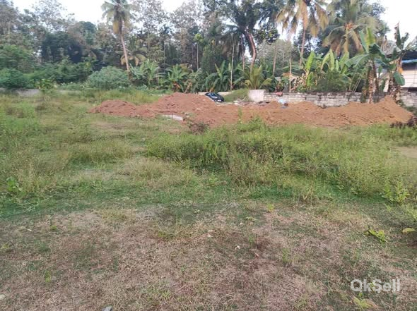Plots for sale at NATTAKOM NEAR PANJAYATH OFFICE,Kottayam