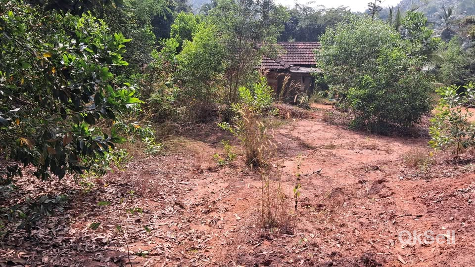 6 cents land for sale at Malappuram Ramanattukara Pengad