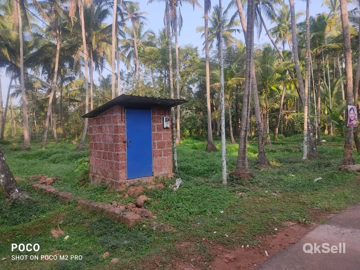 16 cent Land for sale at Cheruvathoor Kannangai Kattuthala, Kasaragod