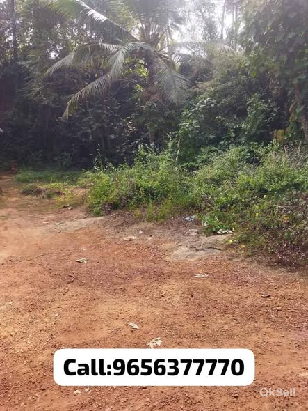 10 cents of land for sale at Edarikode Moochikkal,Malappuram