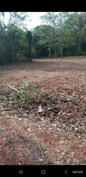 62 cents house plot for sale at ananthapura lake temple Kumbla, naikapu perne,Kasaragod