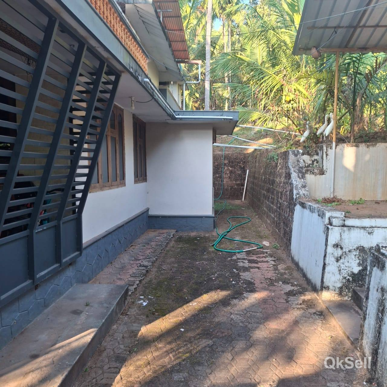 31 cents of land and house for sale at near Chemmattom field forest office,Kasaragod